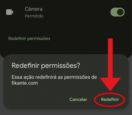 Imagem com print do navegador 04