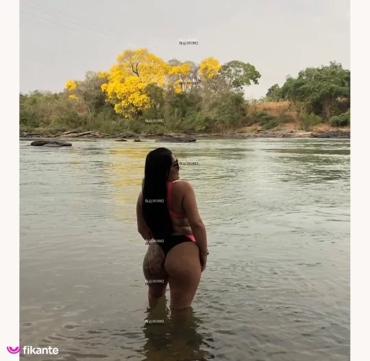 Imagem ou Vídeo