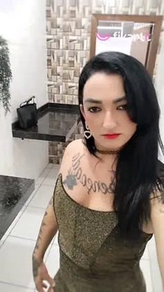 Imagem ou Vídeo