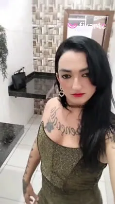 Imagem ou Vídeo