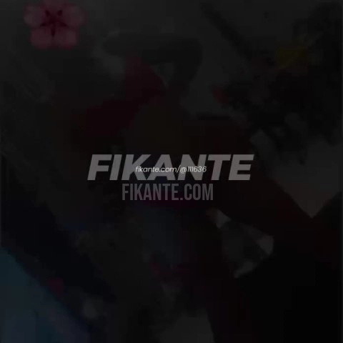 Imagem ou Vídeo