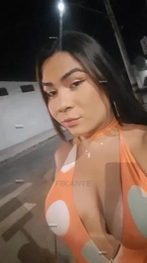 Imagem ou Vídeo