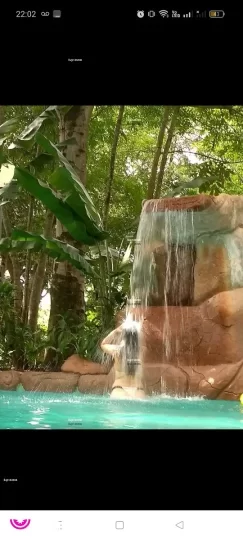 Imagem ou Vídeo