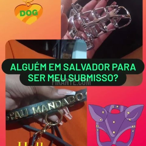Imagem ou Vídeo