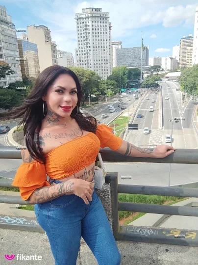 Imagem ou Vídeo