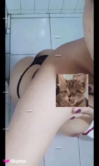 Imagem ou Vídeo