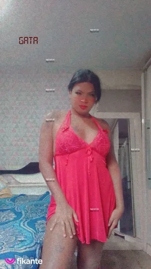Imagem ou Vídeo