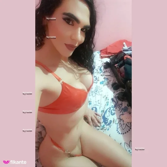 Imagem ou Vídeo