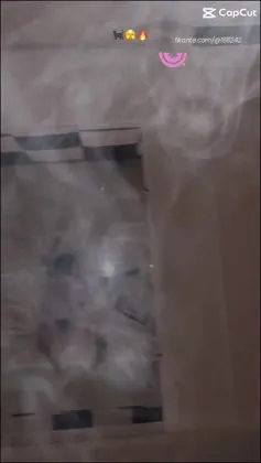 Imagem ou Vídeo