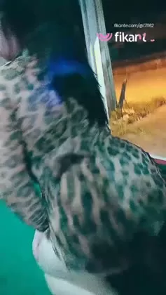 Imagem ou Vídeo