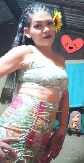 Imagem ou Vídeo