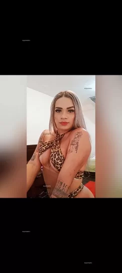 Photo acompanhante perfil Travesti 182264 Photo acompanhante perfil Travesti 182264