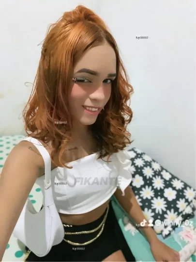 Photo acompanhante perfil Travesti 186663