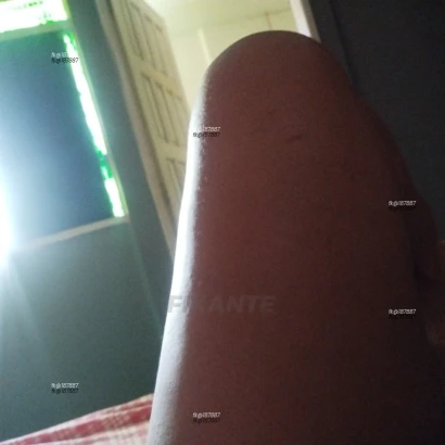Photo acompanhante perfil Acompanhante 187887