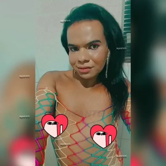 Photo acompanhante perfil Travesti 187975 Photo acompanhante perfil Travesti 187975