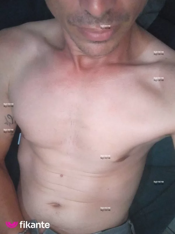 Acompanhantes Transex