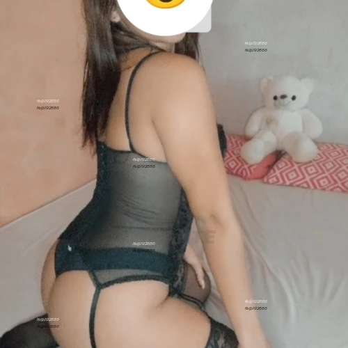 Photo acompanhante perfil Acompanhante 192886