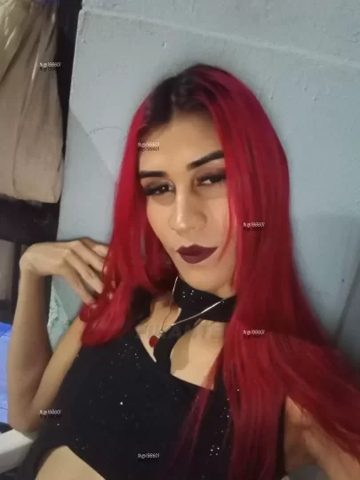 Imagem ou Vídeo