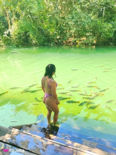 Imagem ou Vídeo