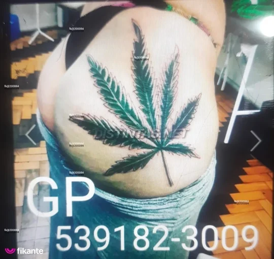 Imagem ou Vídeo