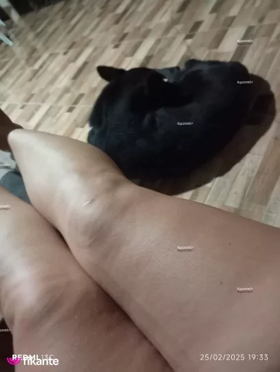 Imagem ou Vídeo