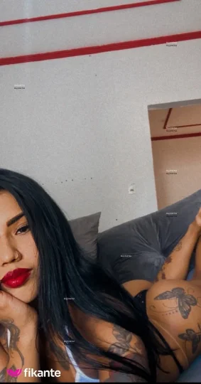 Imagem ou Vídeo