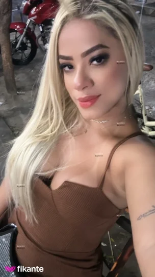 Imagem ou Vídeo