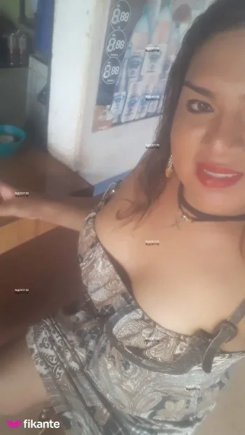 Photo acompanhante perfil Travesti 207152 Photo acompanhante perfil Travesti 207152