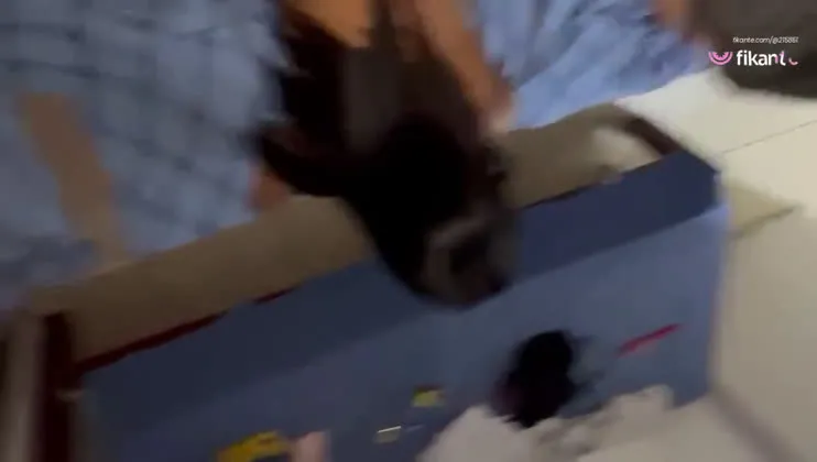Imagem ou Vídeo