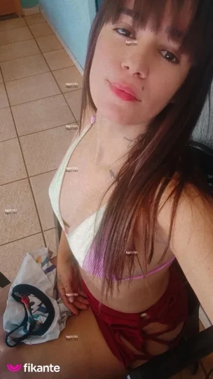 Imagem ou Vídeo
