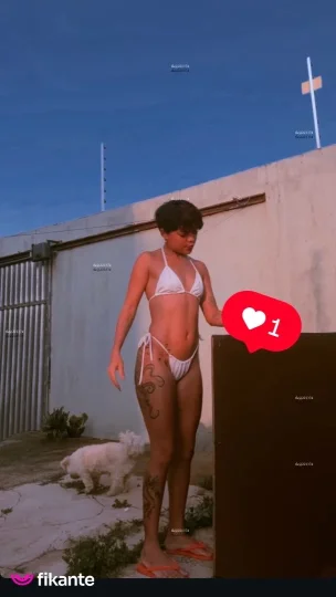 Imagem ou Vídeo