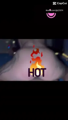 Imagem ou Vídeo