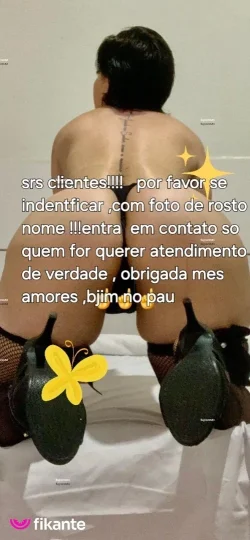 Imagem ou Vídeo