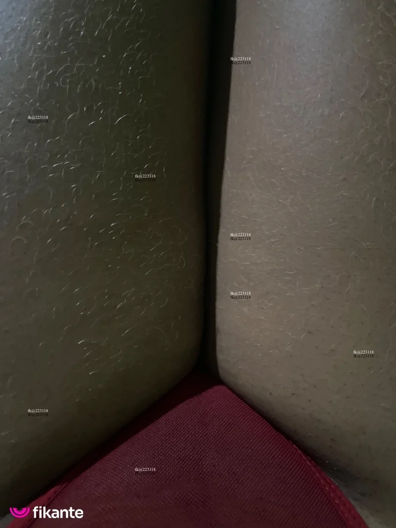 foto de Camilinha
