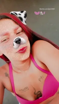 Imagem ou Vídeo