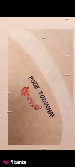 Imagem ou Vídeo