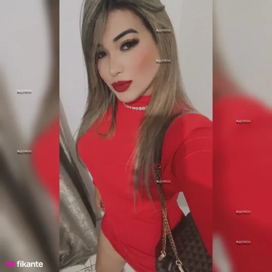 Imagem ou Vídeo