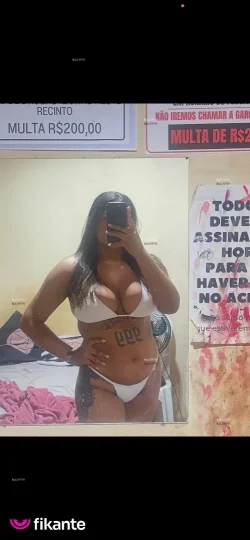 Imagem ou Vídeo