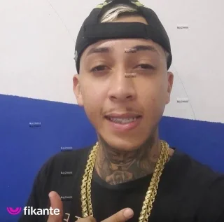Imagem ou Vídeo