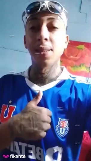 Imagem ou Vídeo