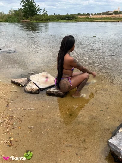 Imagem ou Vídeo