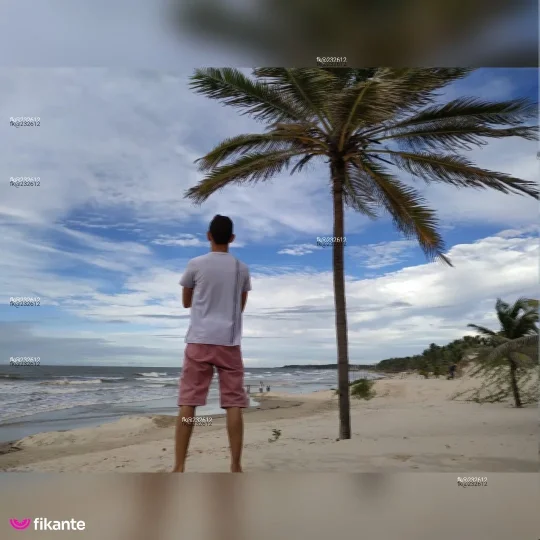 Imagem ou Vídeo