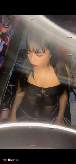Imagem ou Vídeo