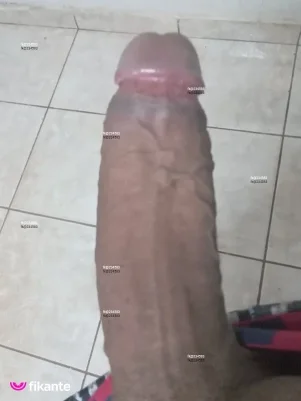 Imagem ou Vídeo