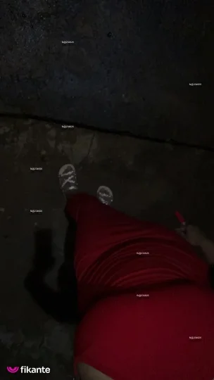 Imagem ou Vídeo