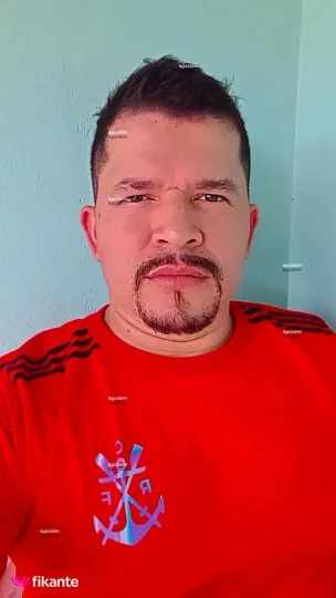 Imagem ou Vídeo