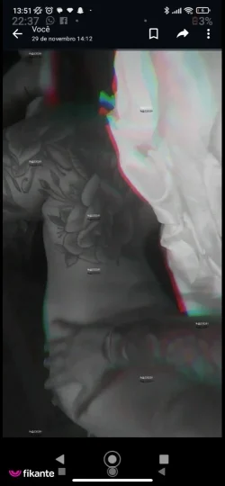 Imagem ou Vídeo