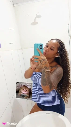 Imagem ou Vídeo