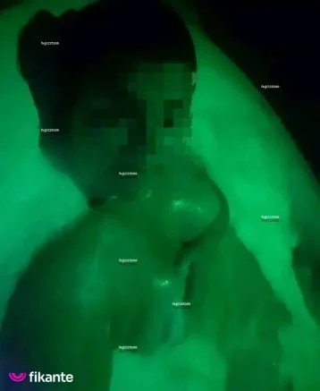 Imagem ou Vídeo