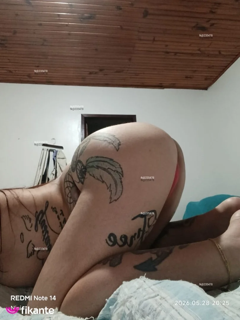 foto de Japinha